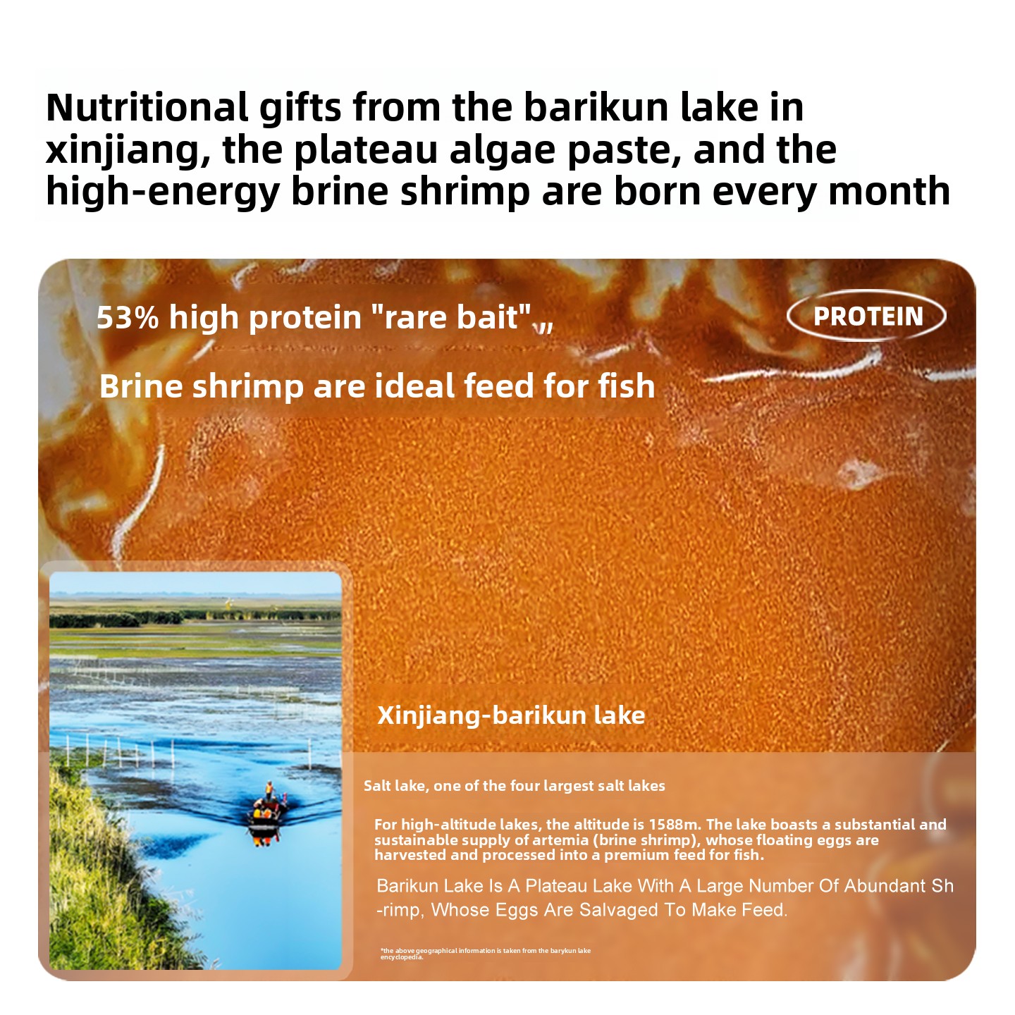 สาหร่ายอาร์ทีเมียแบบไม่ต้องฟัก - Baby Food With Protein บทวิจารณ์และราคา