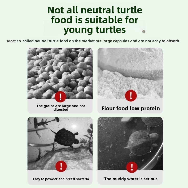 Nai chong Hatchling Turtle Foo - Baby Food With Protein บทวิจารณ์และราคา